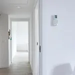 Host4u - House Maga In * Brescia